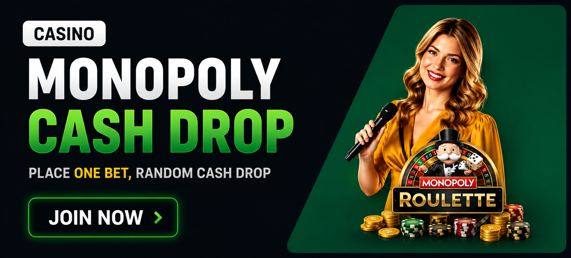Promotional Banner